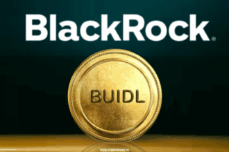 Blackrock’s Buidl Now Used As Crypto Trading Collateral