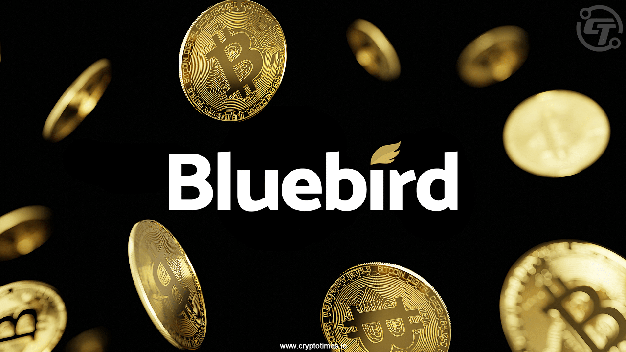 Bluebird Mining Ventures Moves Toward Bitcoin Treasury Strategy