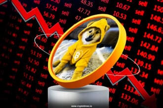 Dog (Bitcoin) Memecoin Drops 14% In A Day, Becomes Top Loser