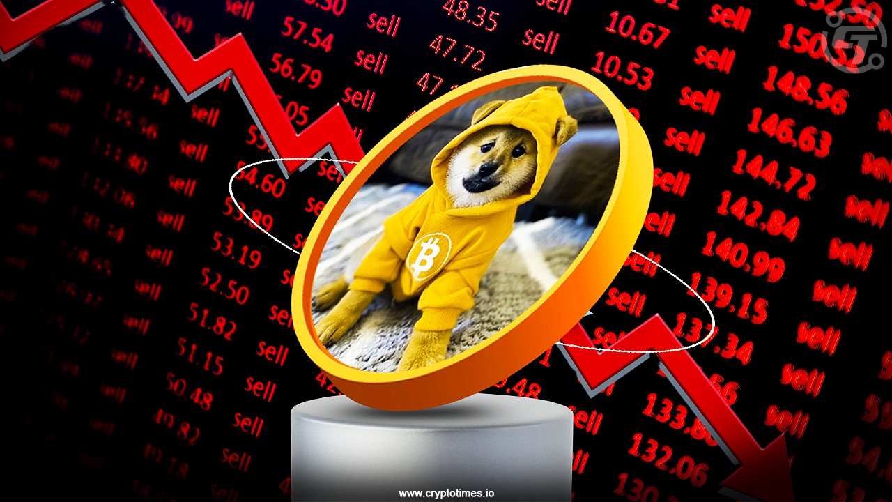 Dog (Bitcoin) Memecoin Drops 14% In A Day, Becomes Top Loser