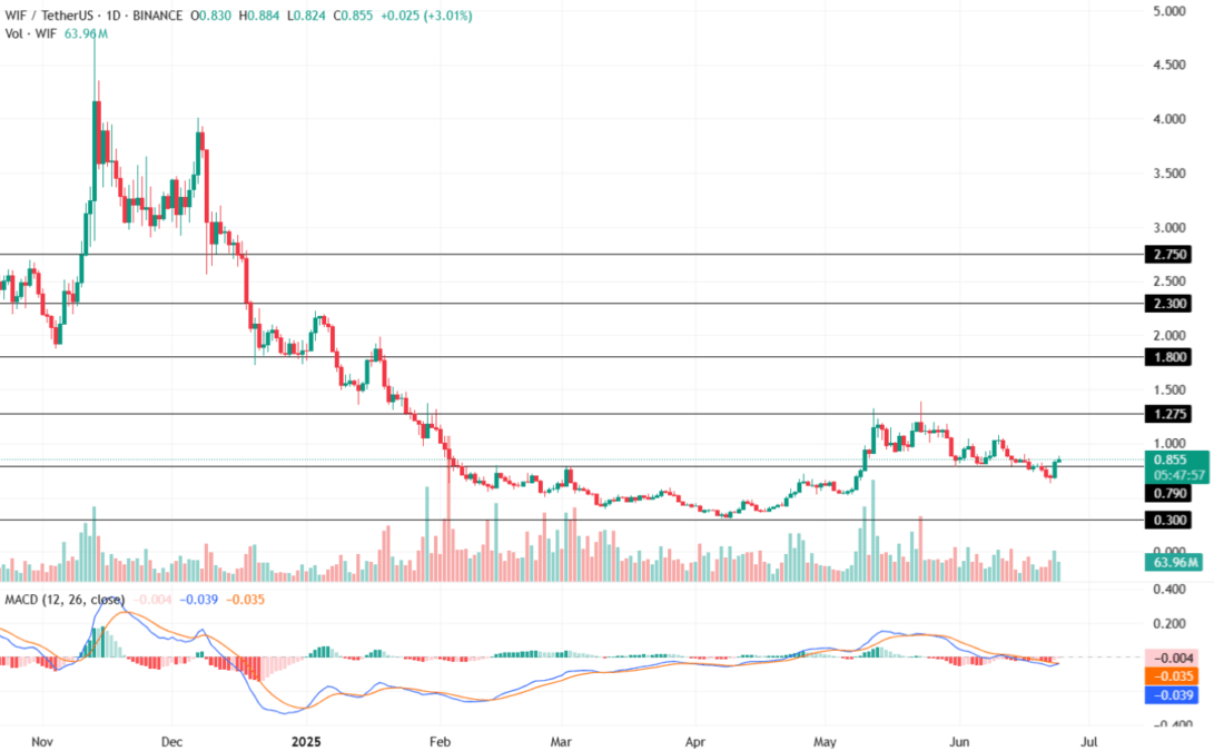 Dogwifhat Price Chart 24 June