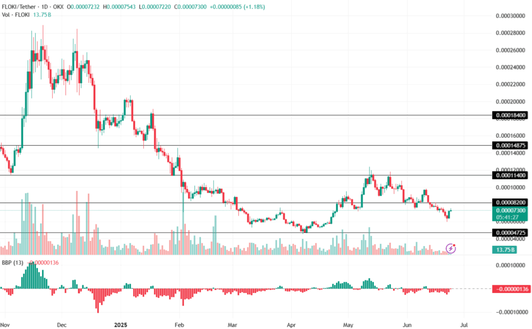 Floki Price Chart 24 June