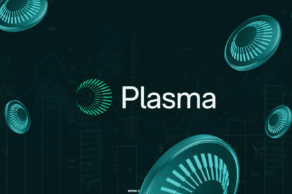 Plasma Sells Out $500M Xpl Tokens In Minutes