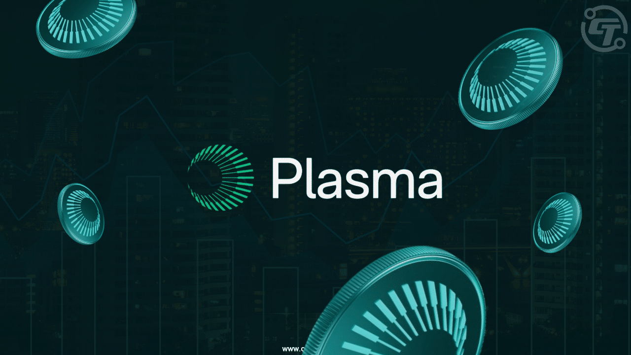 Plasma Sells Out $500M Xpl Tokens In Minutes