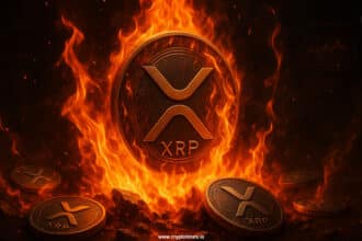 Ripple’s Xrp To Burn 10% Of Total Supply Fact Check