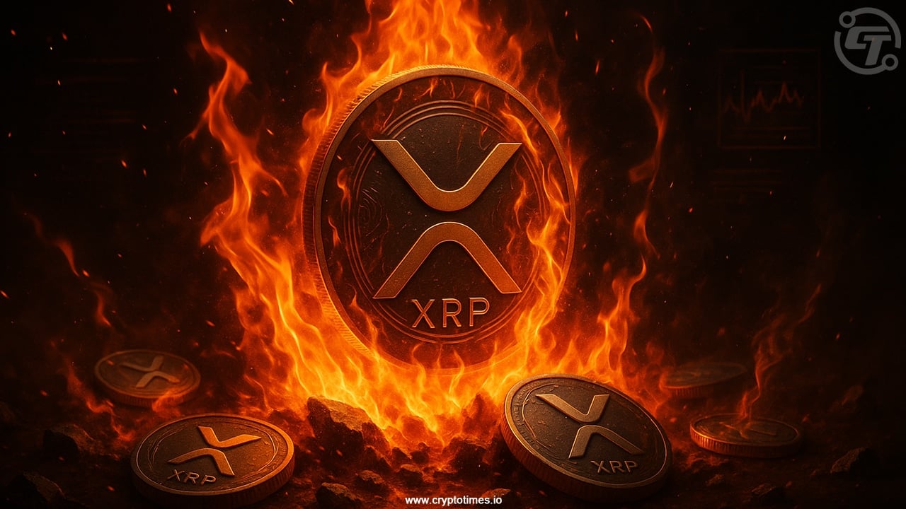 Ripple’s Xrp To Burn 10% Of Total Supply Fact Check