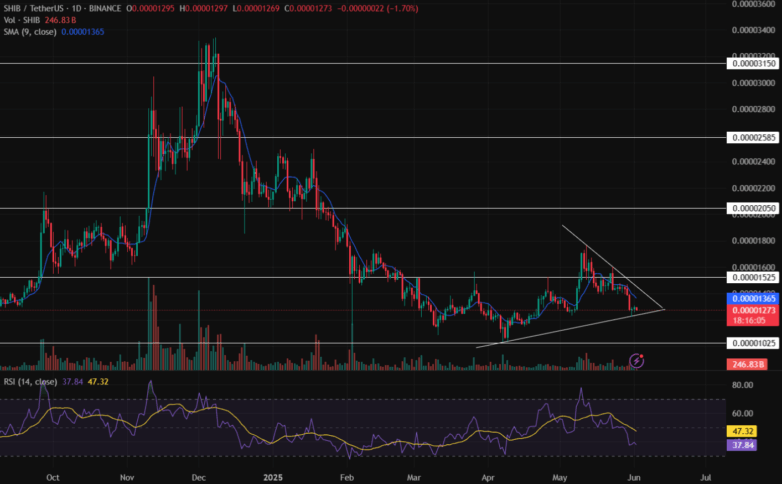 Shiba Inu Price Chart, Source: Tradingview (Shib/Usdt)