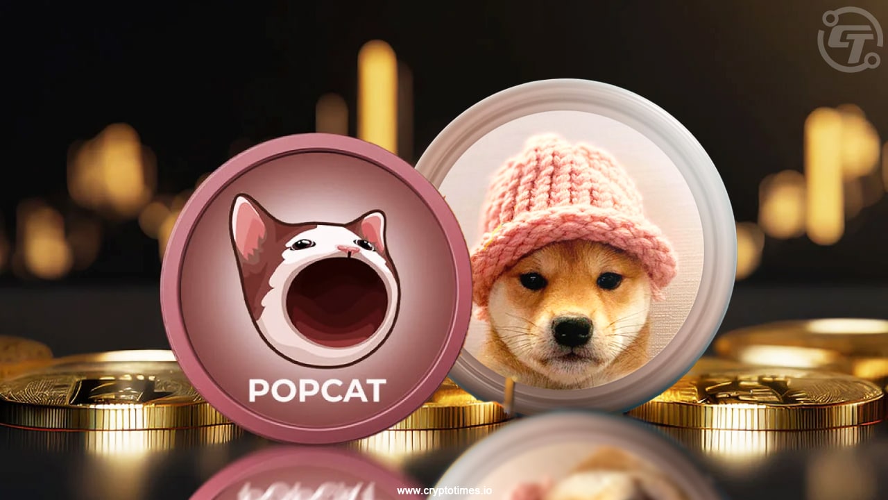 Solana Memecoins Surge Overnight! What’s Next For Wif &Amp; Popcat?
