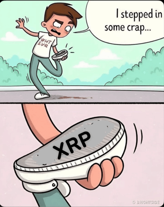 The Funny Meme Post