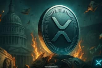 Us Declares Ripple'S Xrp Will Replace The Dollar Fact Check