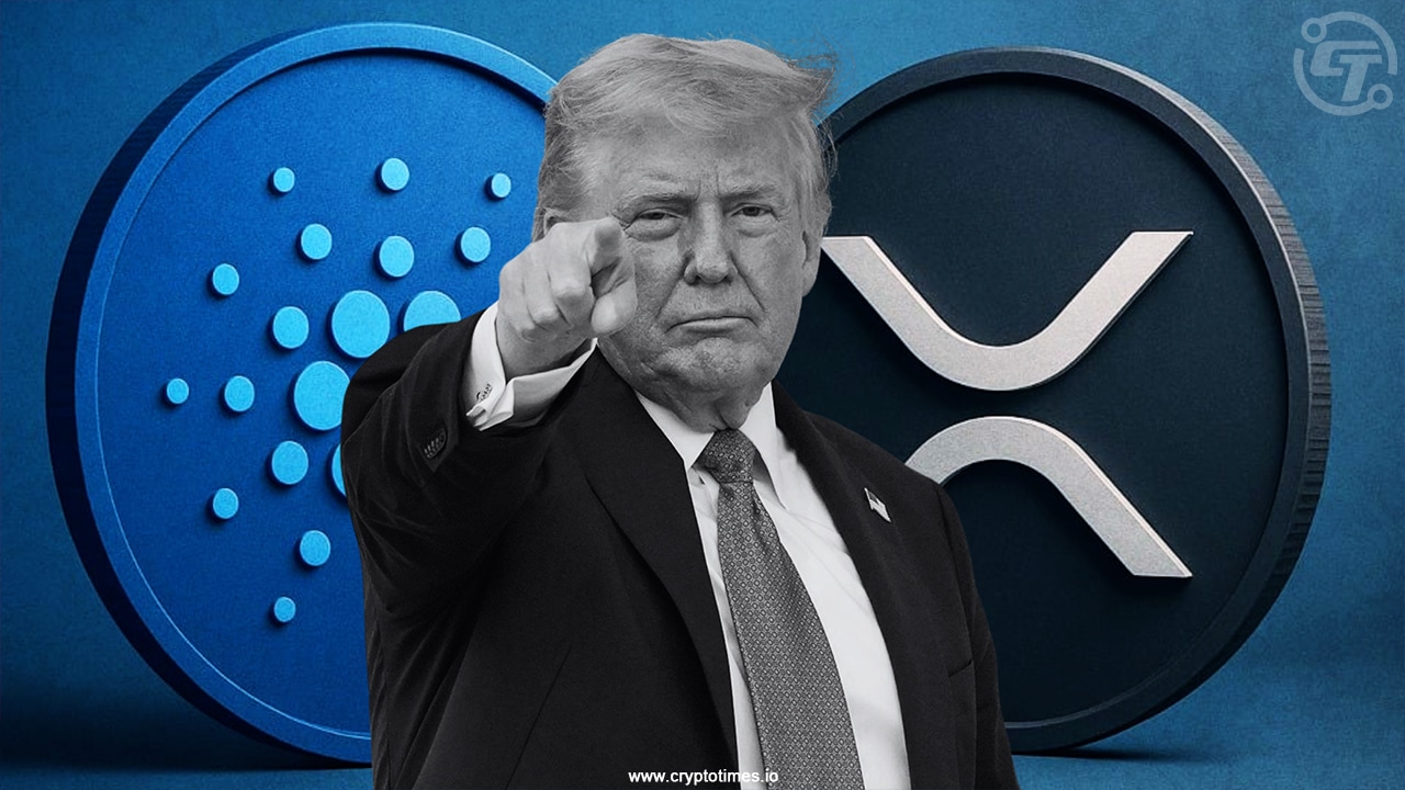 White House Director Invests In Xrp And Ada, Is Trump Next?