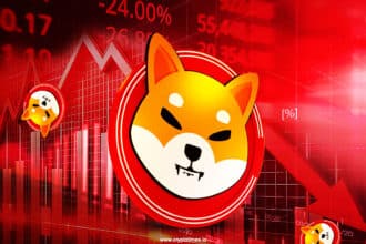 Why Is Shiba Inu (Shib) Price Falling Today