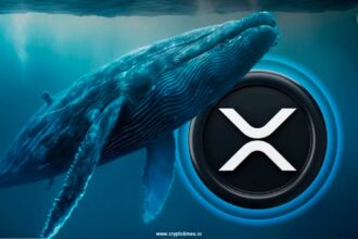 Xrp Daily Users Jump 7X As Whale Wallets Hit Record High