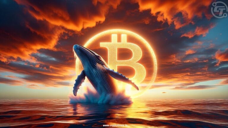 BREAKING: Bitcoin Price Falls as Satoshi-Era 80K BTC Whale Dumps Holdings