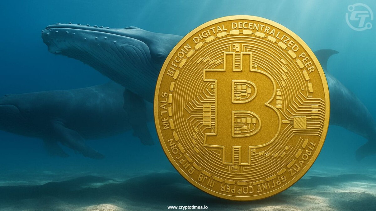 Bitcoin Whale Wakes Up After 14 Years, Moves $468 Million