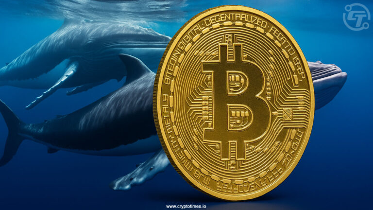 Bitcoin Whales Are Waking Up, What Do They Know About BTC Price?