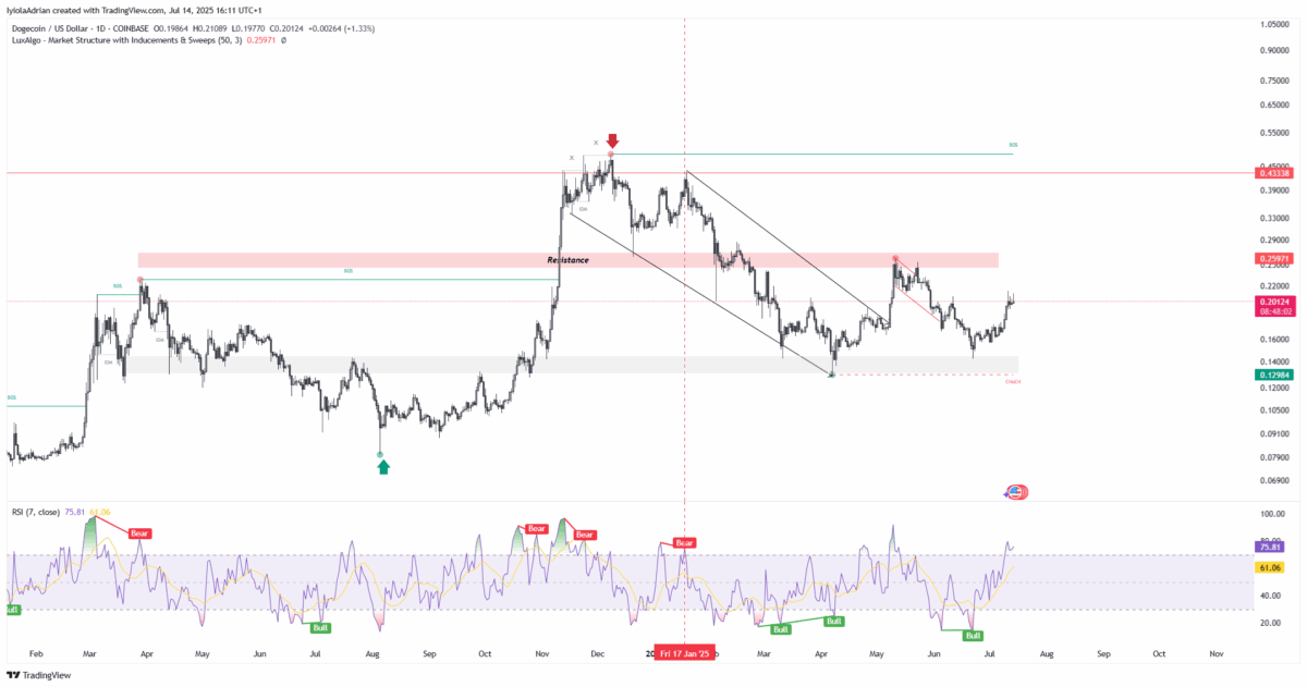 Dogeusd Daily Price Chart