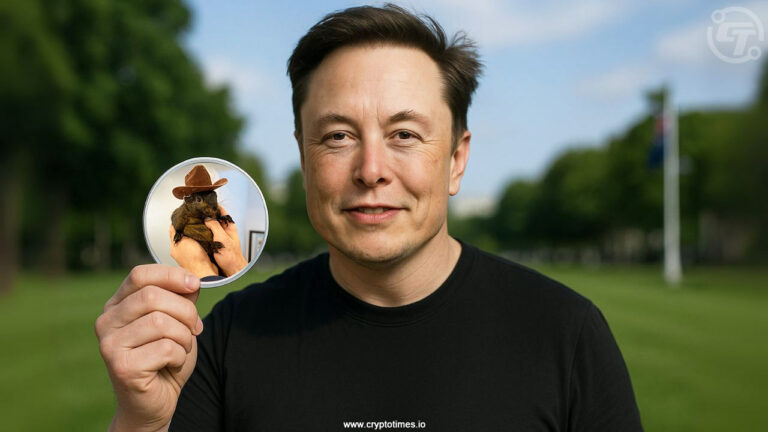 Elon Musk’s Epstein Post Sends PNUT Memecoin Soaring 140% in Volume