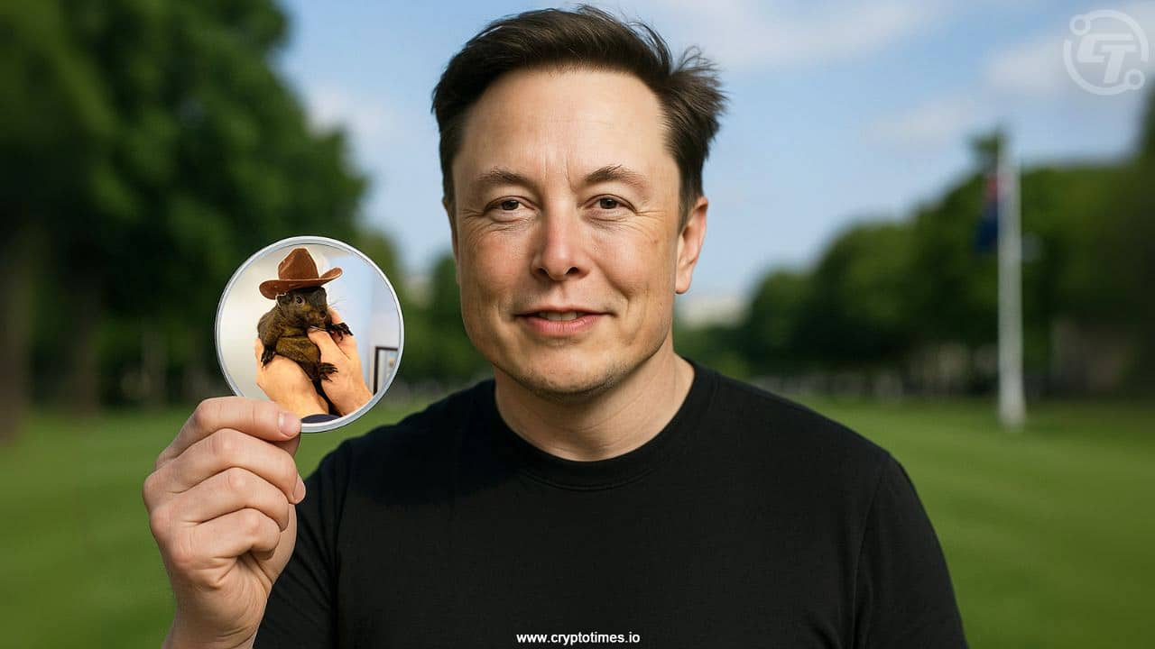 Elon Musk’s Epstein Post Sends PNUT Memecoin Soaring 140% in Volume