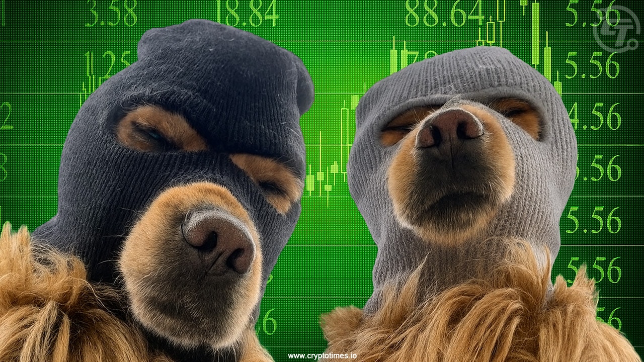 SKI Token Shows Bullish Momentum With 58% Daily Price Rally