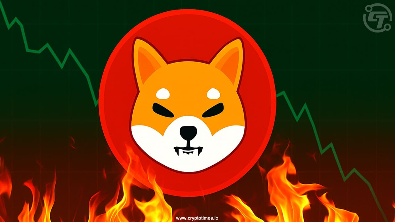 Shiba Inu Upgrades Shibarium Amid Surge in Activity and SHIB Burns