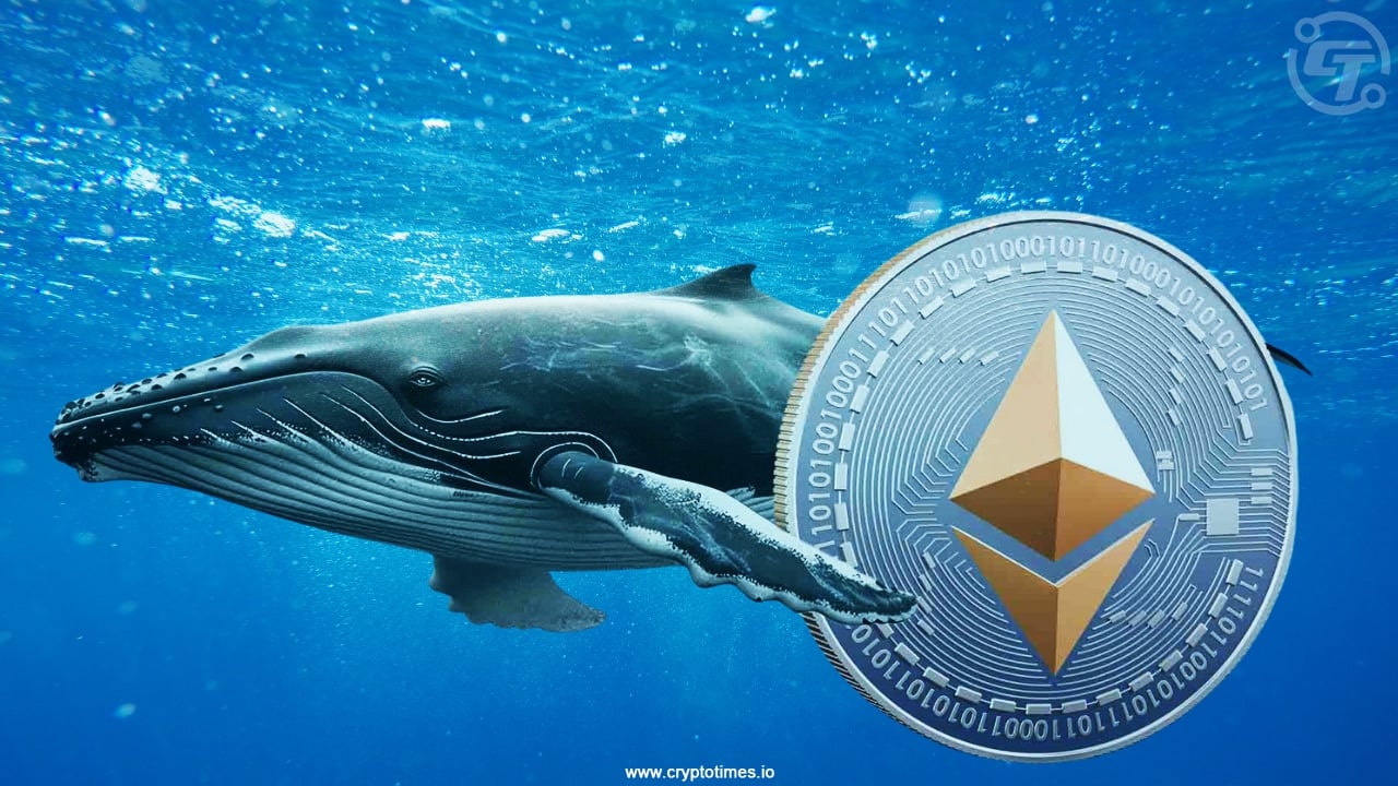 Whale Quietly Buys $114M In Eth As Market Pulls Back