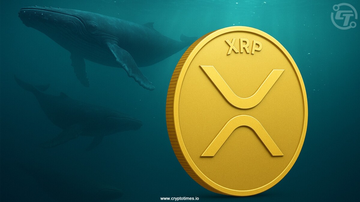 XRP Whales Rise While Price Drops, Where Is It Headed Next?