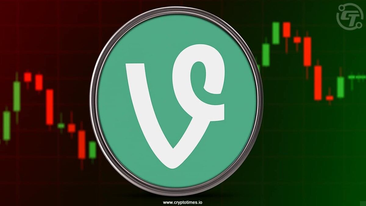 What Is Vine Crypto And Why Is It Up 300% In Last 7 Days?