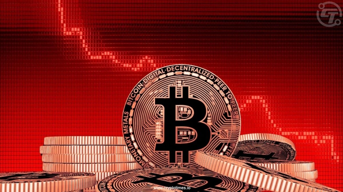 Bitcoin Long-Term Holders Profit as Short-Term Traders Sell in Lose