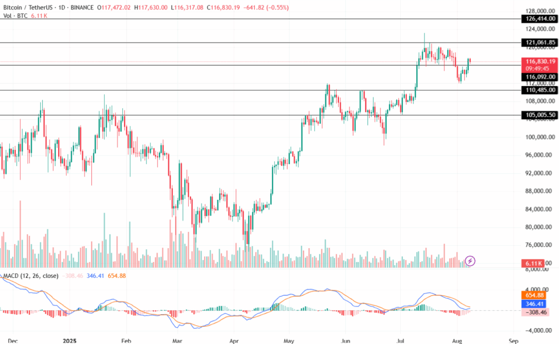 Bitcoin Price Chart