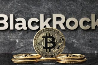 Blackrock Bitcoin Etf Hits $91 Billion Aum As Btc Hits New Peak