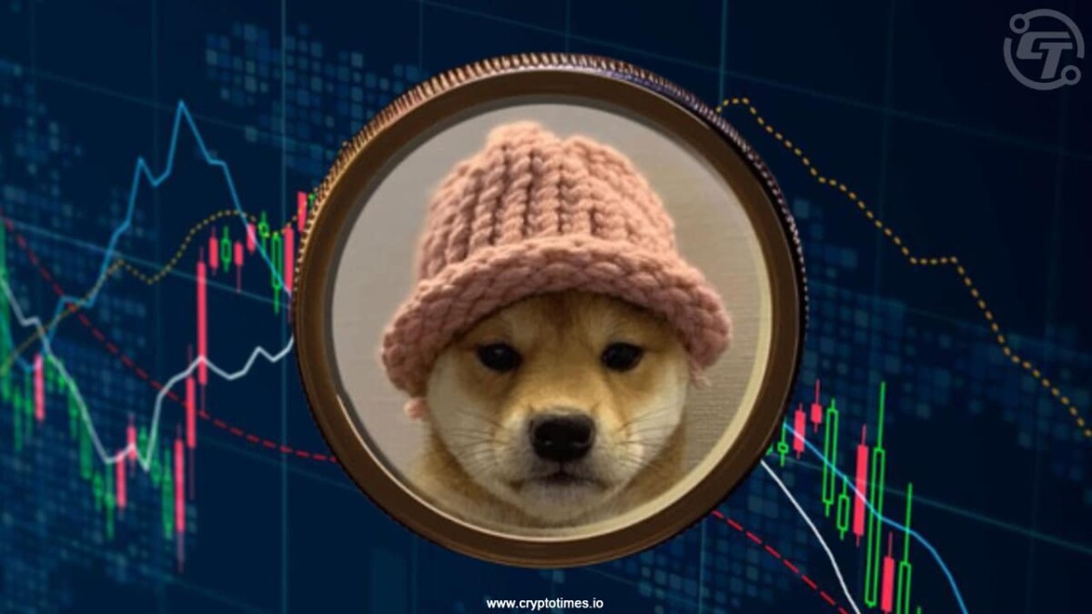 Dogwifhat’s Iconic Pink Hat Goes to Auction for First Time Ever