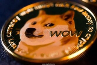 Elon Musk’s Lawyer To Chair $200M Dogecoin Treasury Plan: Report