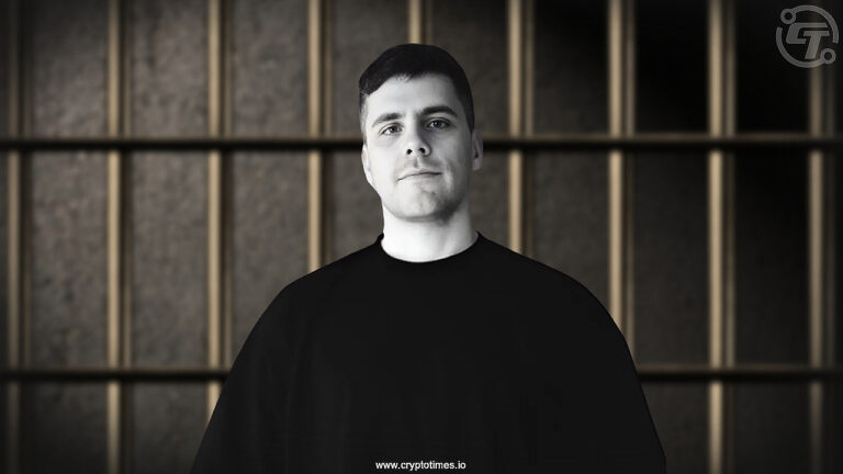 Ethereum Dev Freed After 24-Hour Detention in Turkey