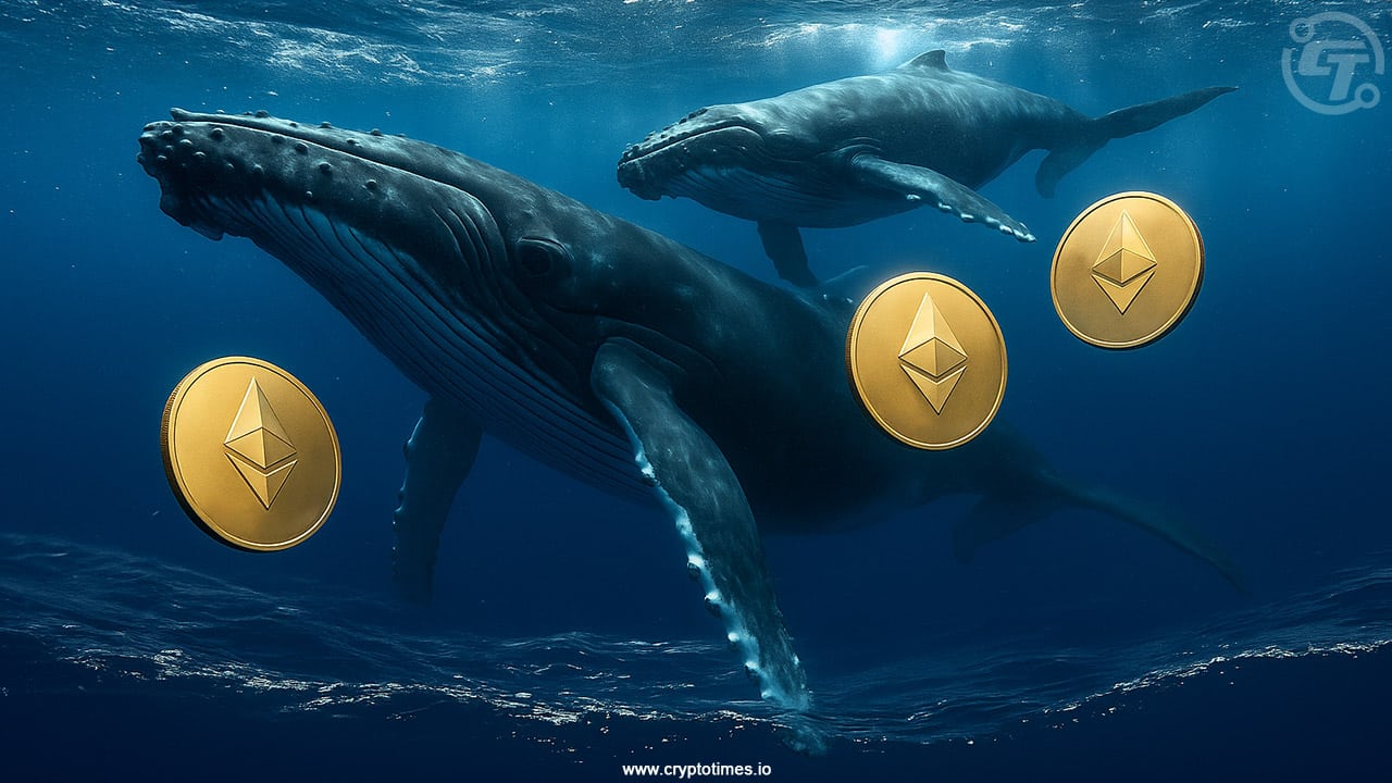 Ethereum Whale Buys $212M More, Now In Top Five Holders