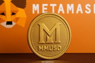 Is Metamask Launching A Stablecoin With Stripe