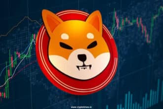 Shiba Inu Price Prediction: Key Levels To Watch Now