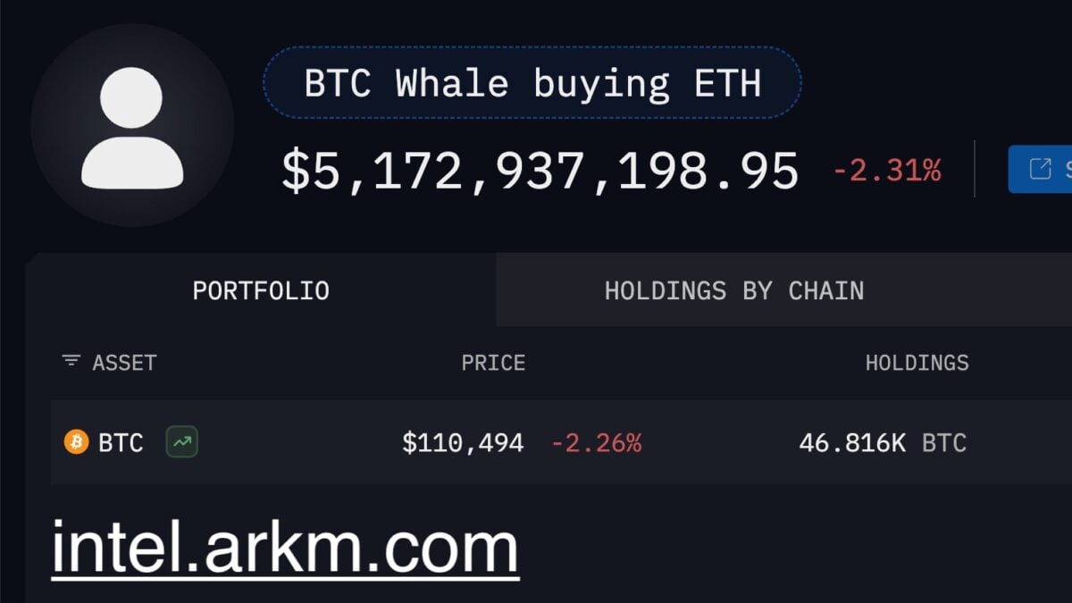 The whale's vast holdings