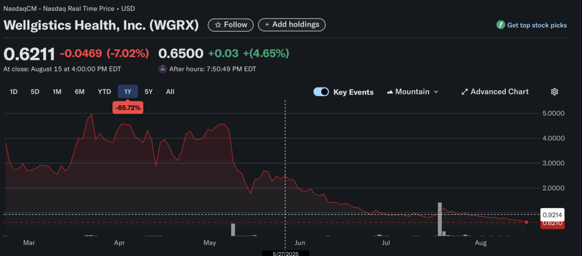 Wellgistices Stock Chart This Year 