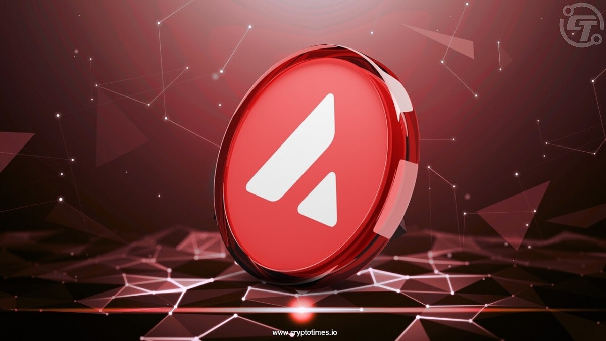 Avalanche Plans to Raise $1B For Crypto-hoarding Companies