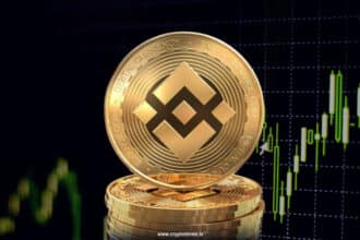 Binance Altcoin Volume Hits Record 82.3%
