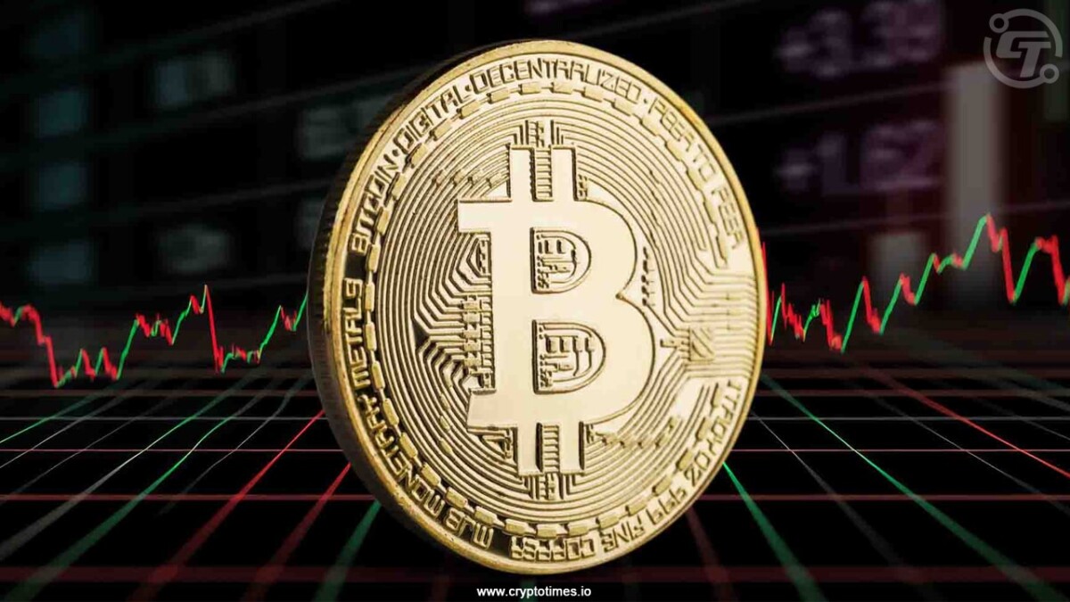 Bitcoin Sharks Quietly Add 65,000 BTC in Major Accumulation Spree