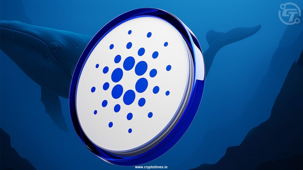 Cardano Sentiment Tanks as Whales Eye Discounted ADA