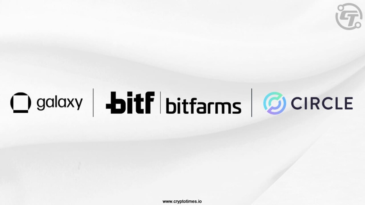 Crypto Stocks Diverge AI Plays Soar, BTC Holders Drop