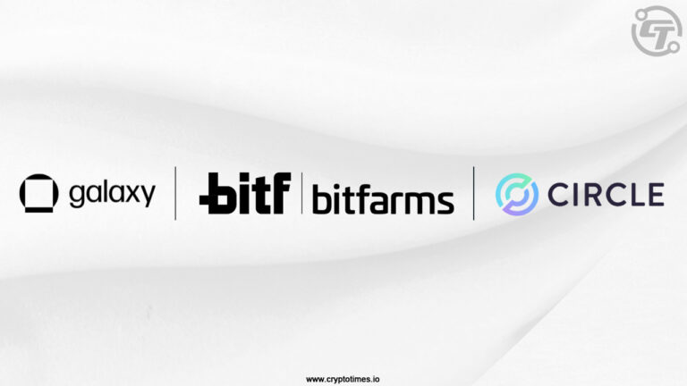Crypto Stocks Diverge AI Plays Soar, BTC Holders Drop
