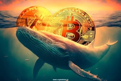 Dormant Whale Moves 1,000 Btc Worth $116 Million After 11 Years