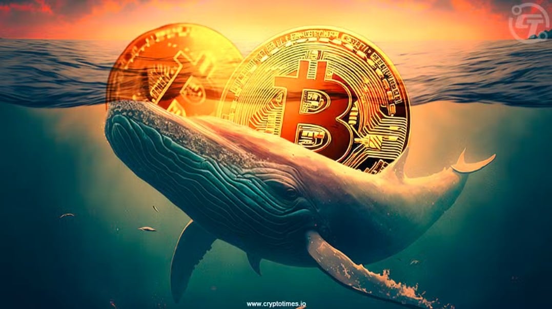 Dormant Whale Moves 1,000 BTC Worth $116 Million After 11 Years