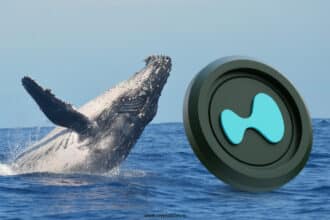 Hype Whales Profit $148M After Holding For 9 Months