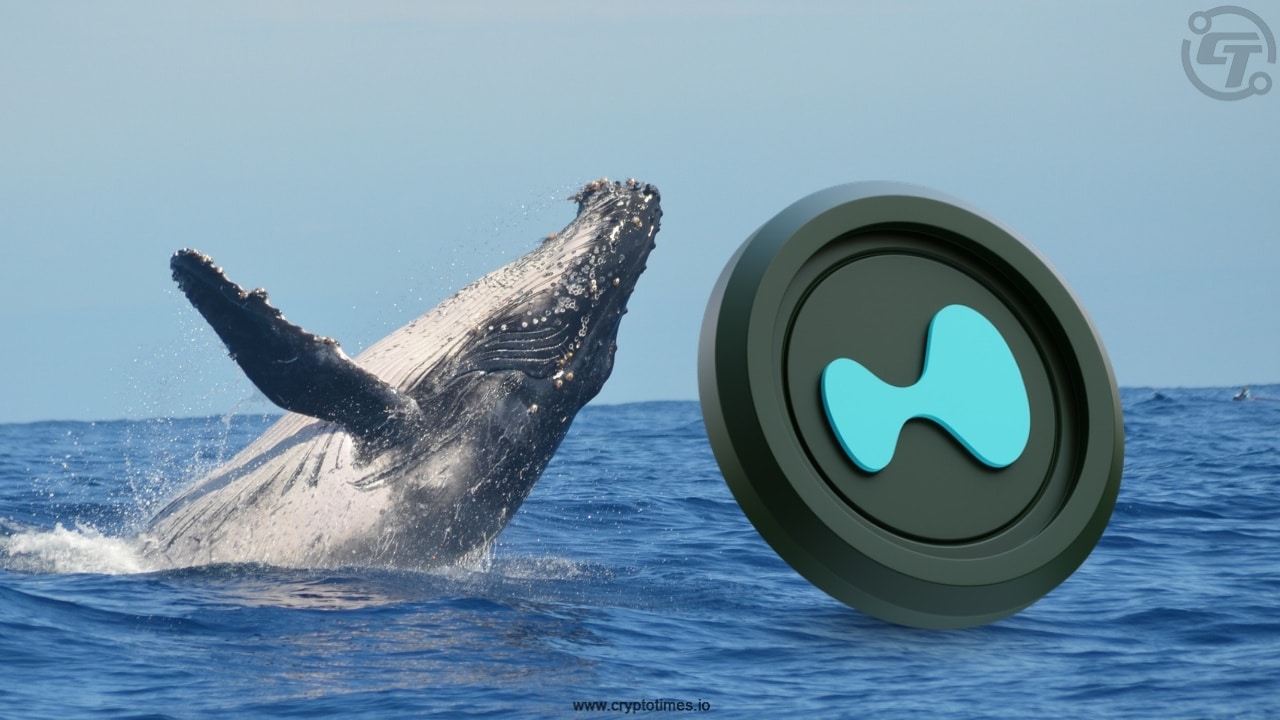 Hype Whales Profit $148M After Holding For 9 Months