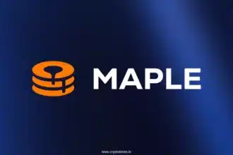 Maple Finance Hits $4B Aum, Overtakes Blackrock'S Buidl1